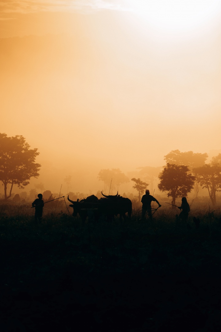 Road trip across wild Angola