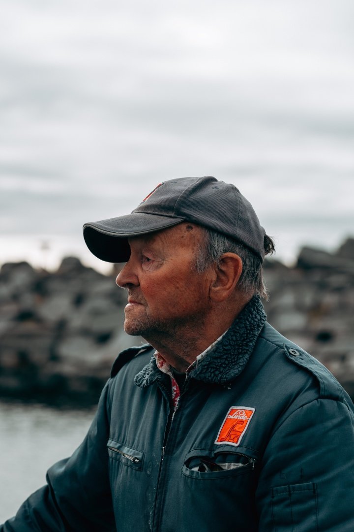 Whale Safari in the Arctic Circle